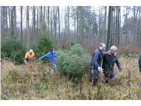 Es weihnachtet in St. Crescentius (Foto: Karl-Franz Thiede)